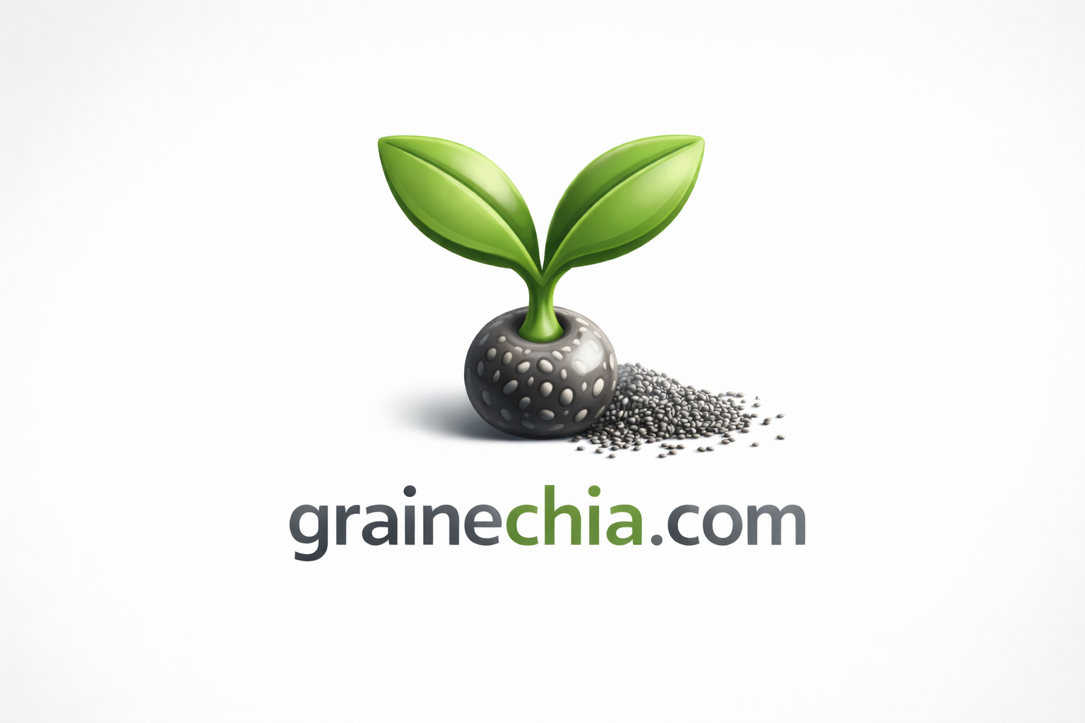 grainechia.com
